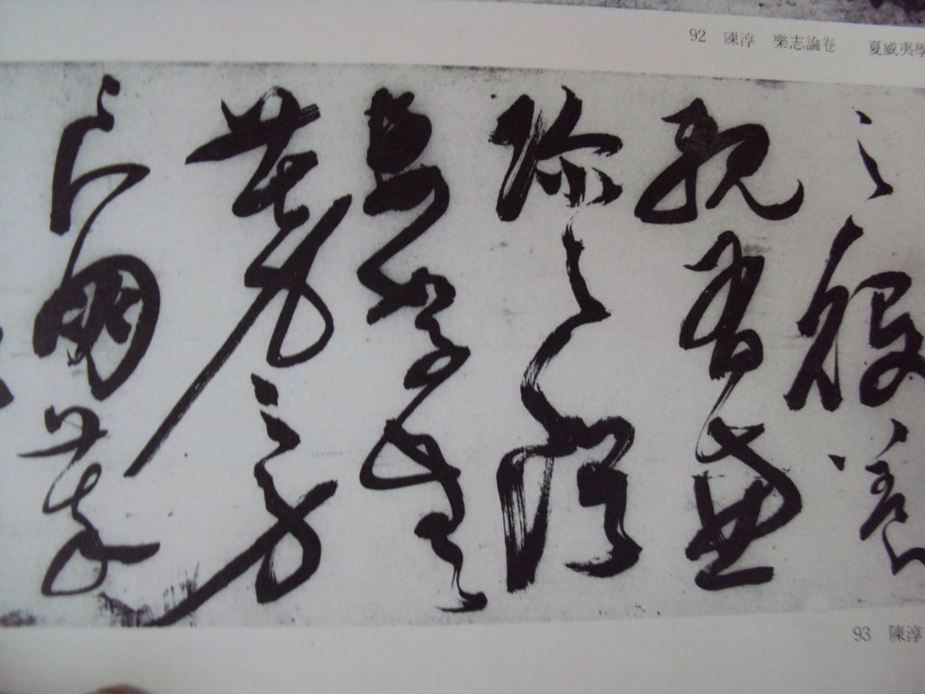 DSC00007.JPG - 陳淳的草書作品