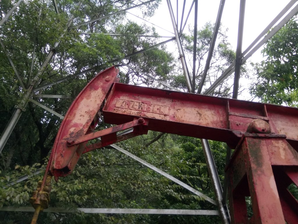 DSC_9645.JPG - 公館  出礦坑登山步道