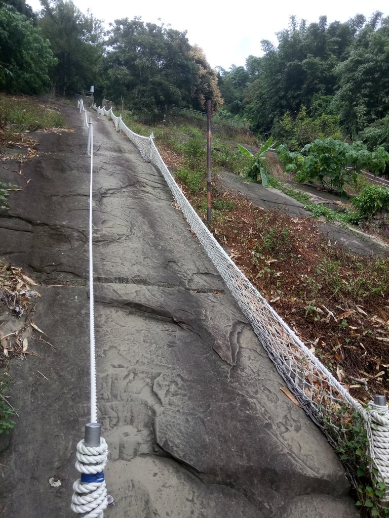 DSC_1202.JPG - 草嶺  茄苳步道  峭壁雄風