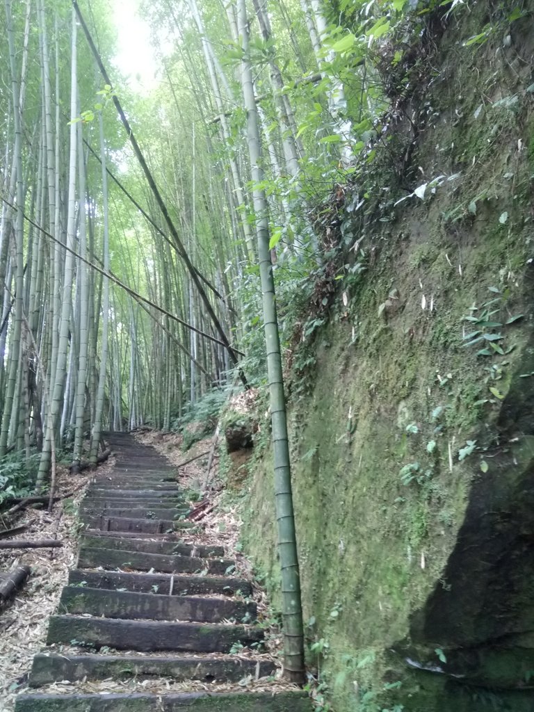 DSC_1239.JPG - 石壁山  嘉南雲峰步道