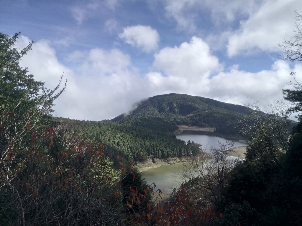 DSC_0107.JPG - 太平山  翠峰湖環山步道  01