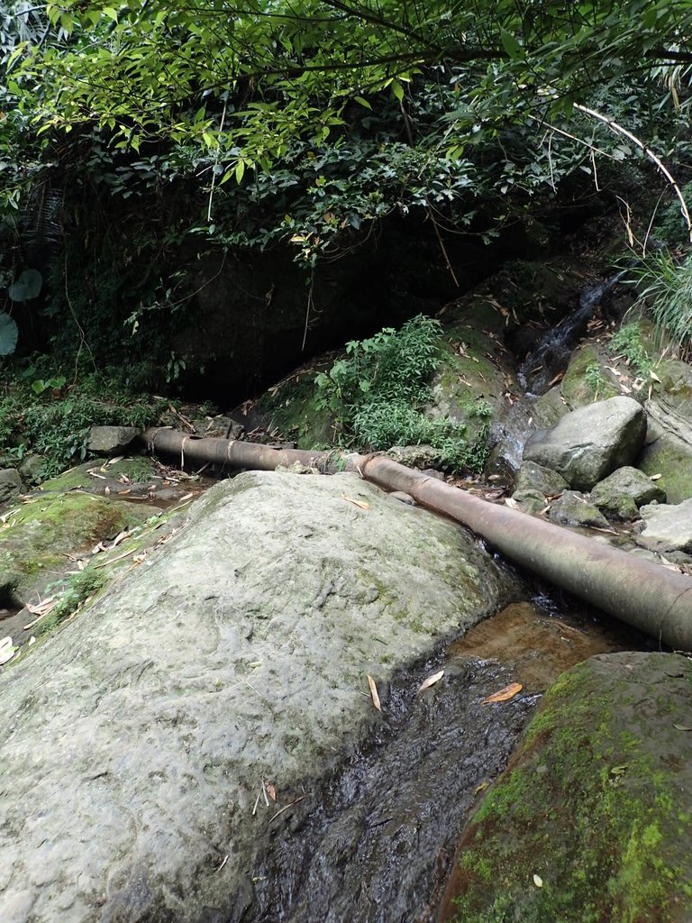 PA171293.JPG - 鹿谷  長源圳古道
