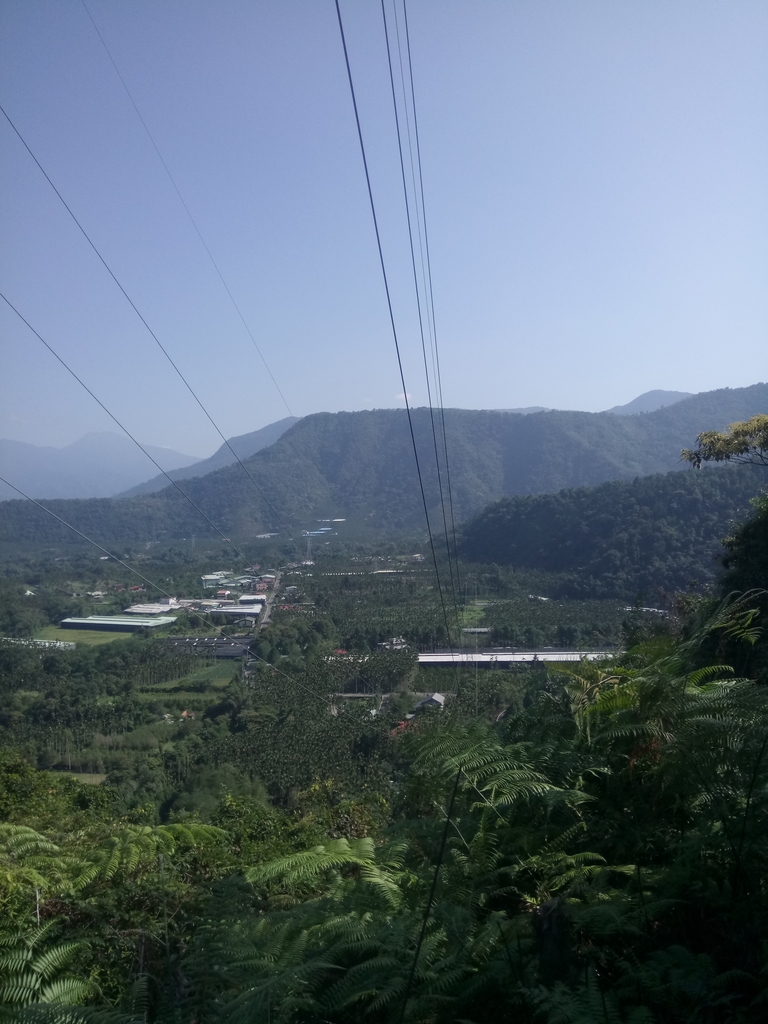 DSC_4015.JPG - 魚池  過坑山登山步道