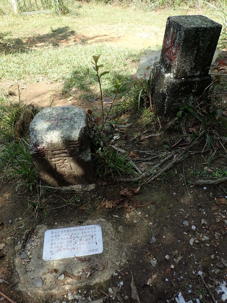 PA040479.JPG - 魚池  大尖山登山步道