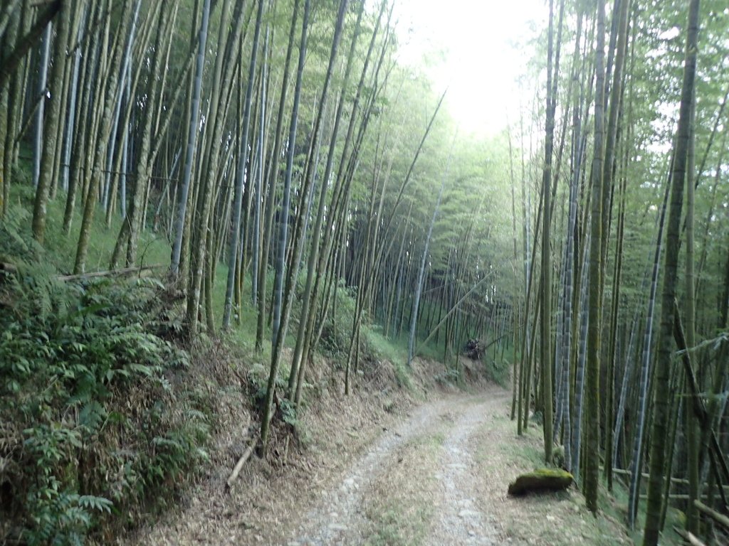 PA040501.JPG - 明潭四兄妹之  魚池  大尖山