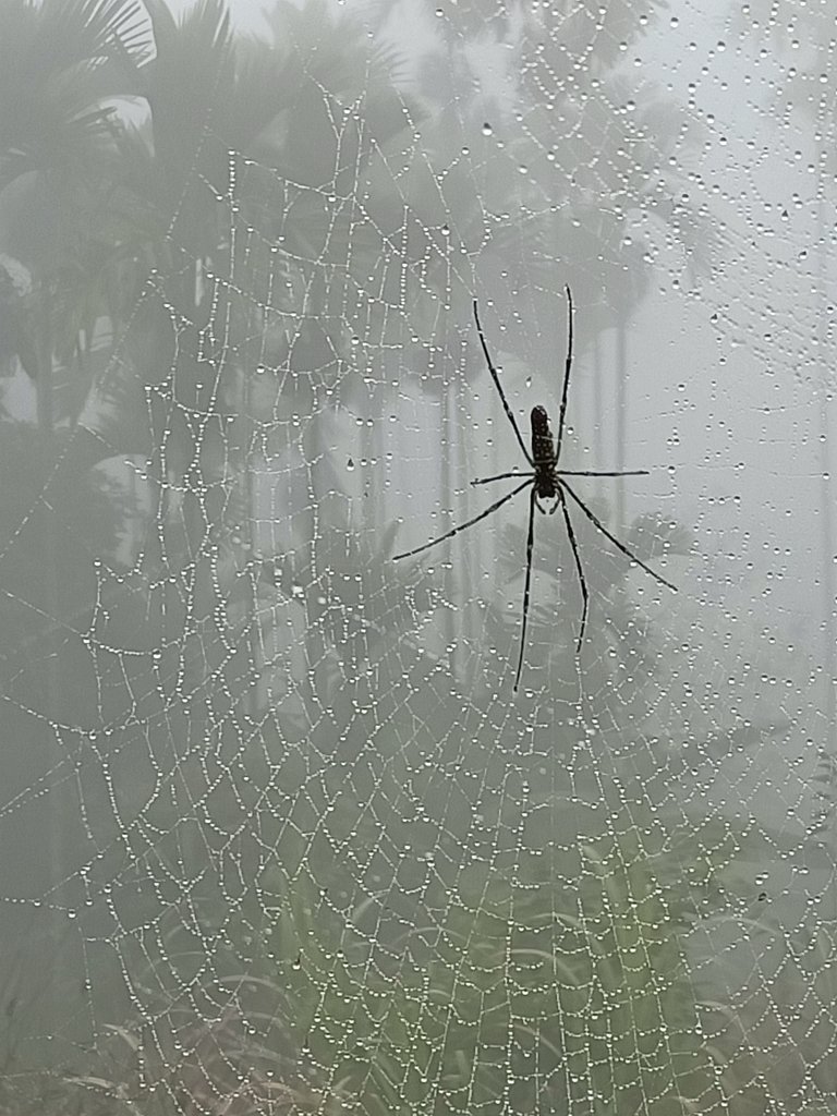 IMG20210108111324.jpg - 梅山  瑞峰村  竹坑溪步道