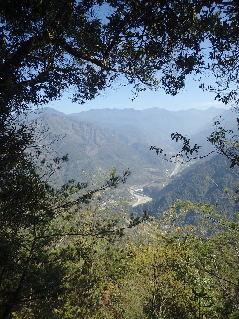 P2216679.JPG - 谷關  阿冷山步道