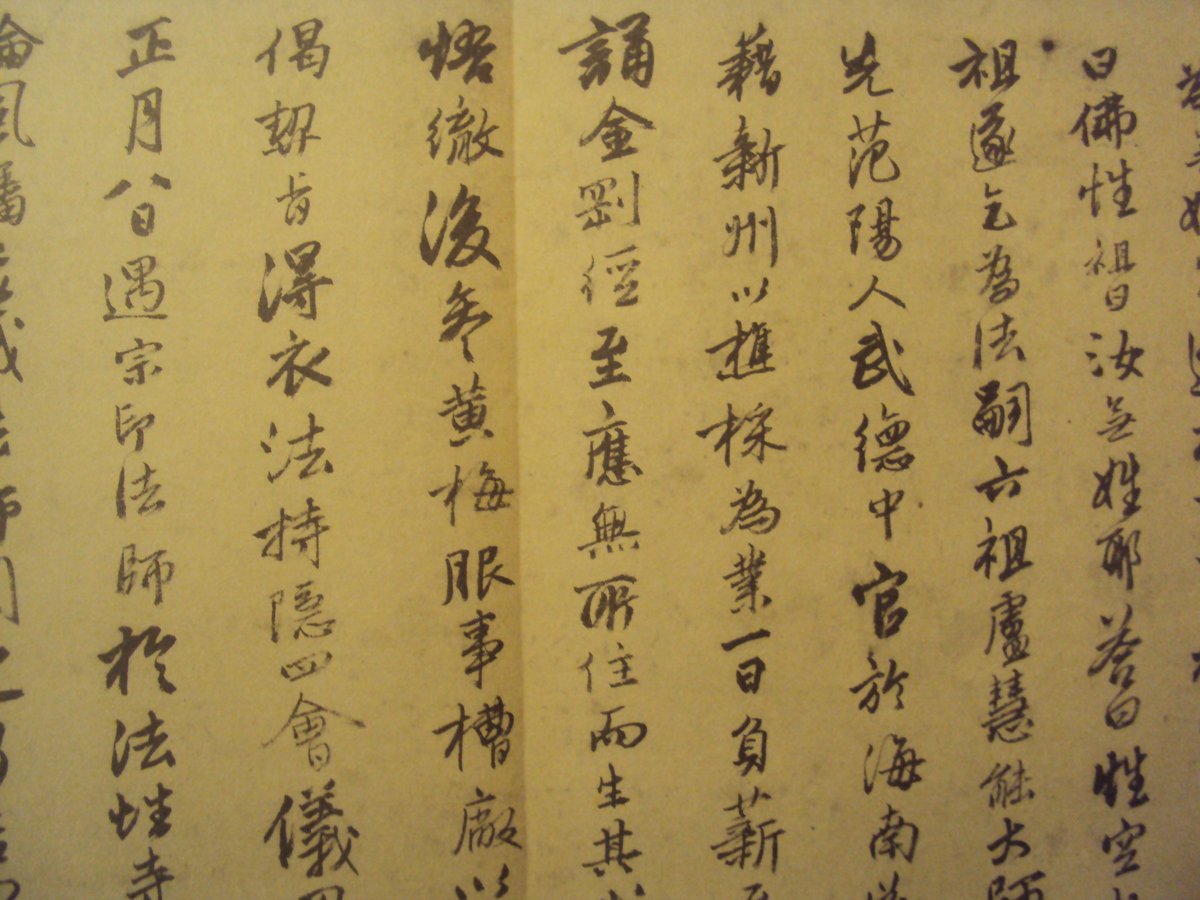 DSC06988.JPG - 唐寅的書法表現