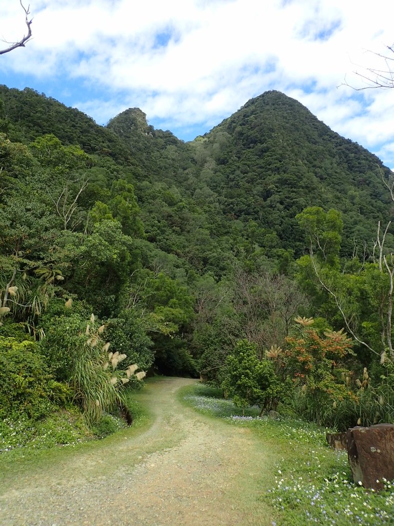 PB257560.JPG - 復興  東滿步道