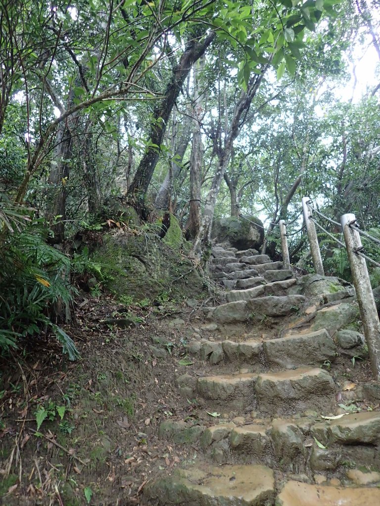 P1062053.JPG - 土城  天上山  登山步道