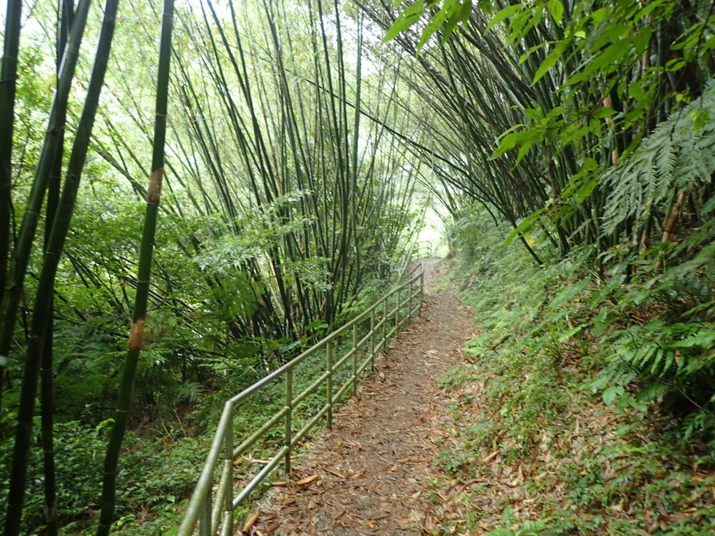 P4051068.JPG - 深坑  炮子崙登山步道