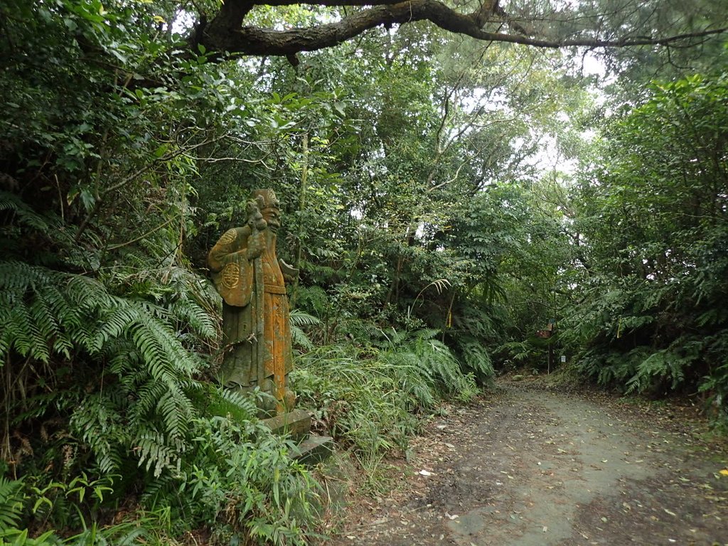 P2288673.JPG - 內湖  大崙頭山