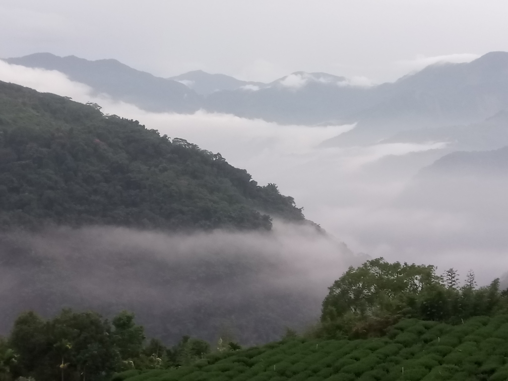 DSC_1383.JPG - 石壁途中之   茶山雲雨