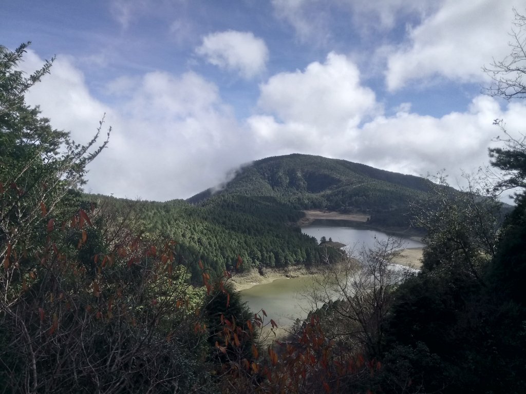 DSC_0108.JPG - 太平山  翠峰湖環山步道  01