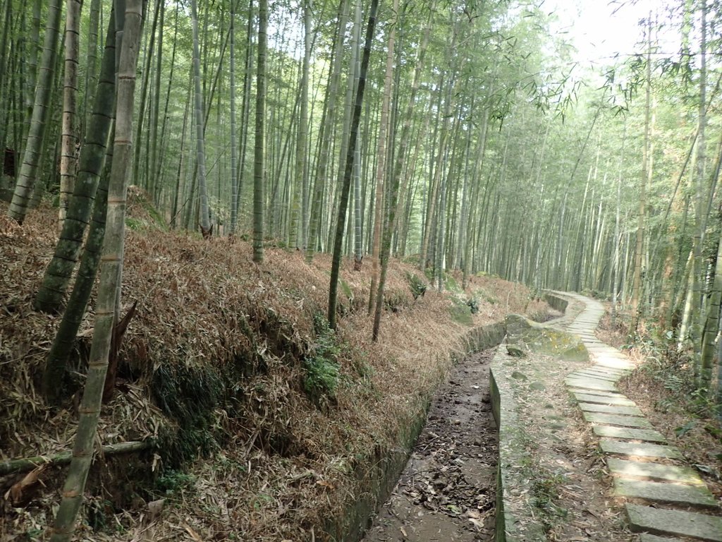 PA171300.JPG - 鹿谷  長源圳古道