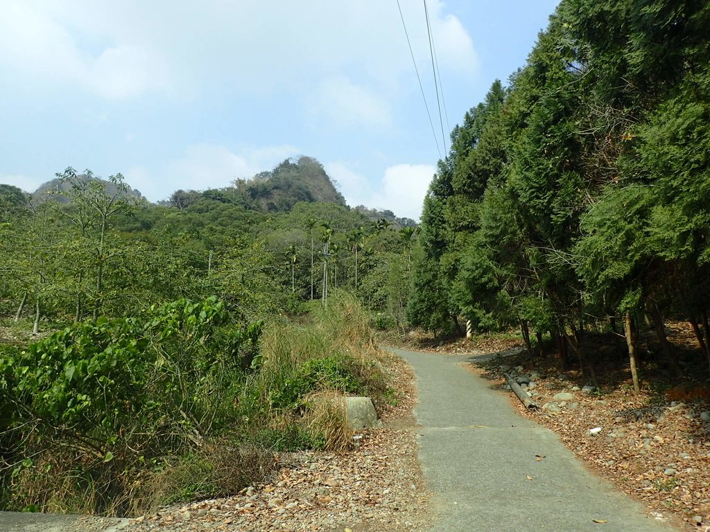 P3016118.JPG - 草屯平林  九九峰森林步道