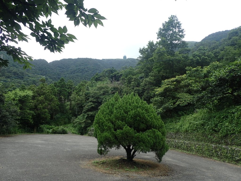 P7203898.JPG - 平溪  五分山登山步道