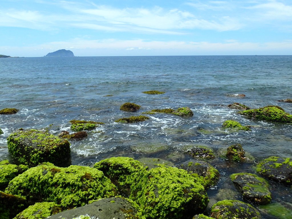 P6194621.JPG - 瑞芳  深奧神秘海岸之美