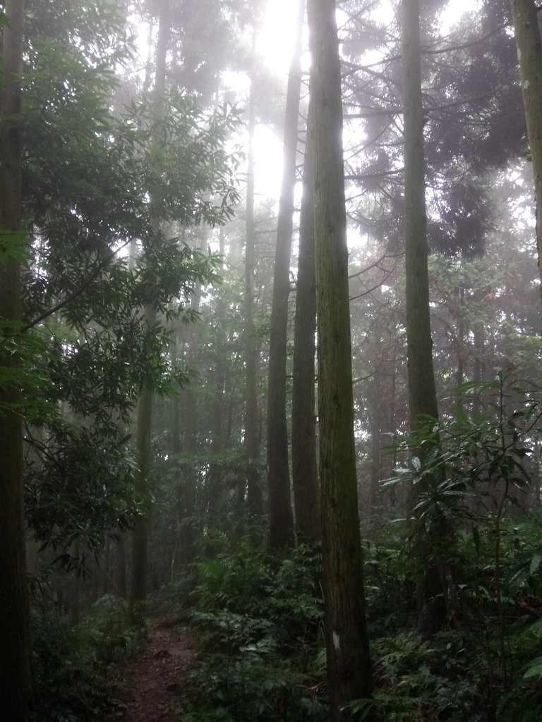 DSC_2886.JPG - 南庄  向天湖山  光天高山