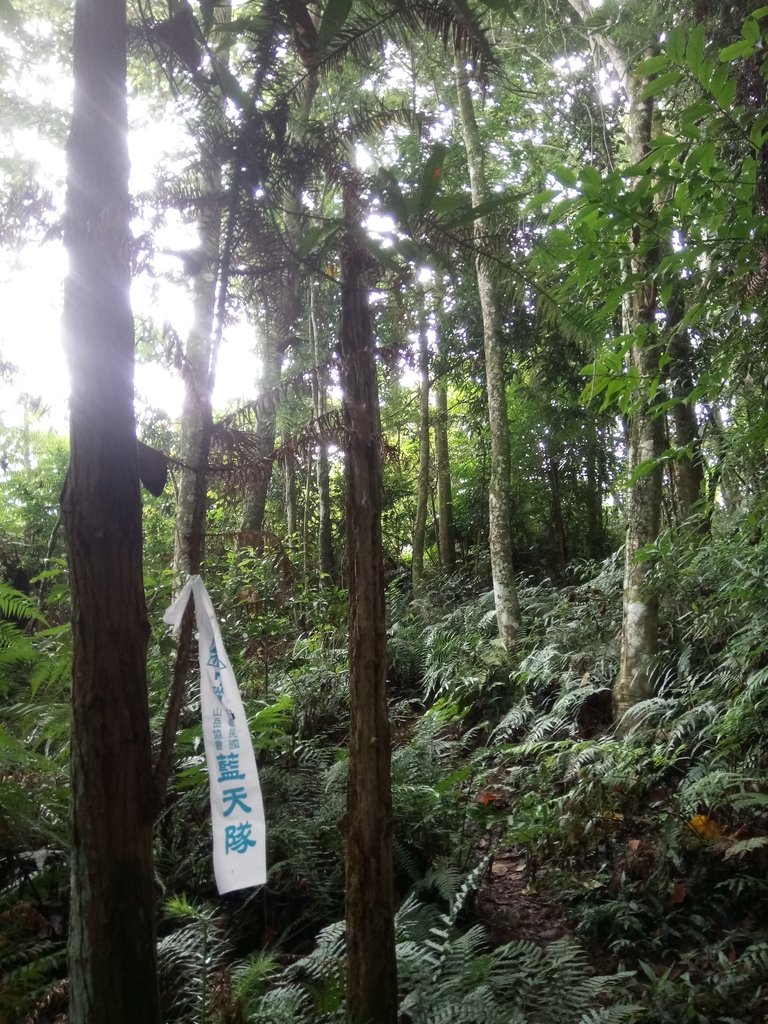 DSC_0214.JPG - 魚池  頭社  後尖山步道