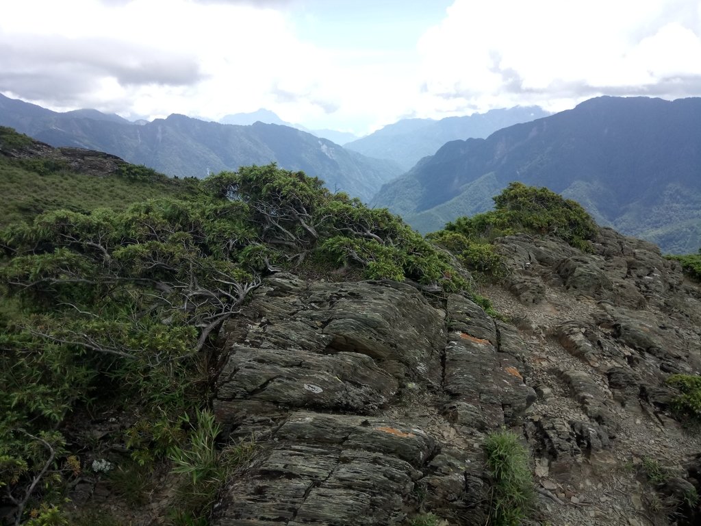 DSC_5418.JPG - 合歡山  北峰之美  (下)