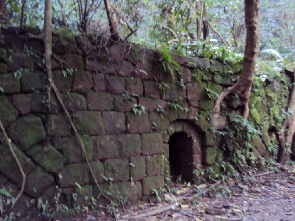 DSC03326.JPG - 瑞芳  粗坑口登山步道