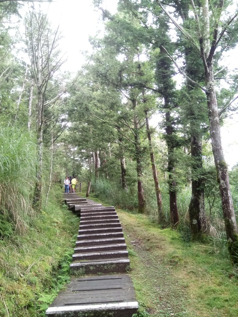 DSC_5657.JPG - 太平山  翠峰湖