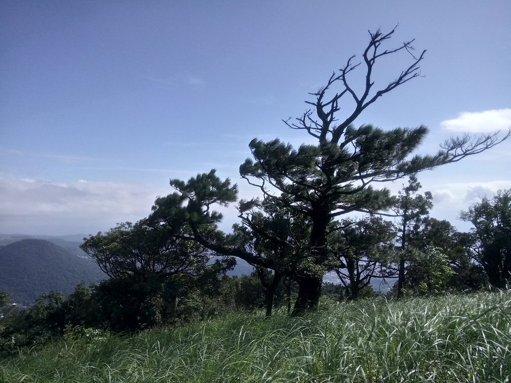 DSC_8782.JPG - 北投  中正山登山步道  02