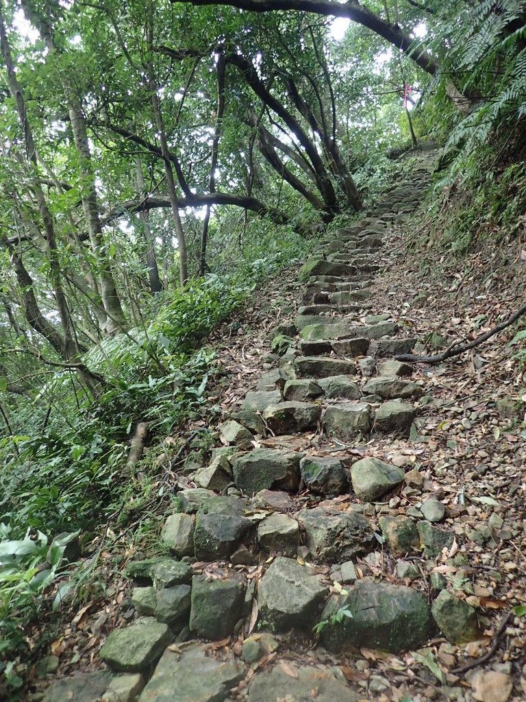 P1274453.JPG - 瑞芳  燦光寮古道初探