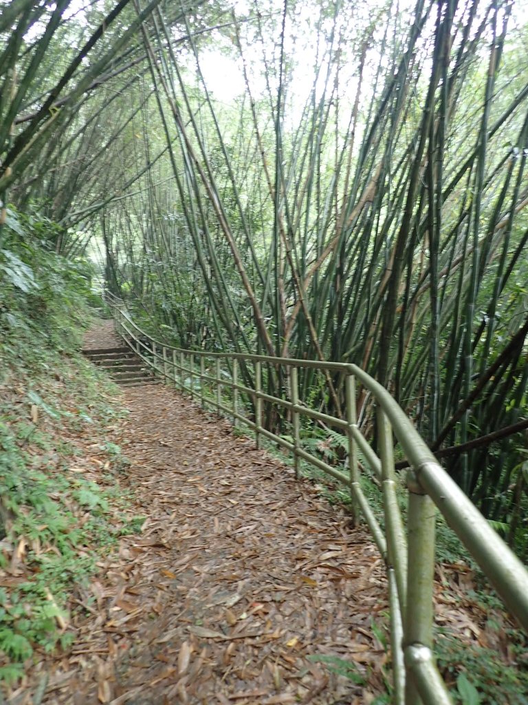 P4051072.JPG - 深坑  炮子崙登山步道