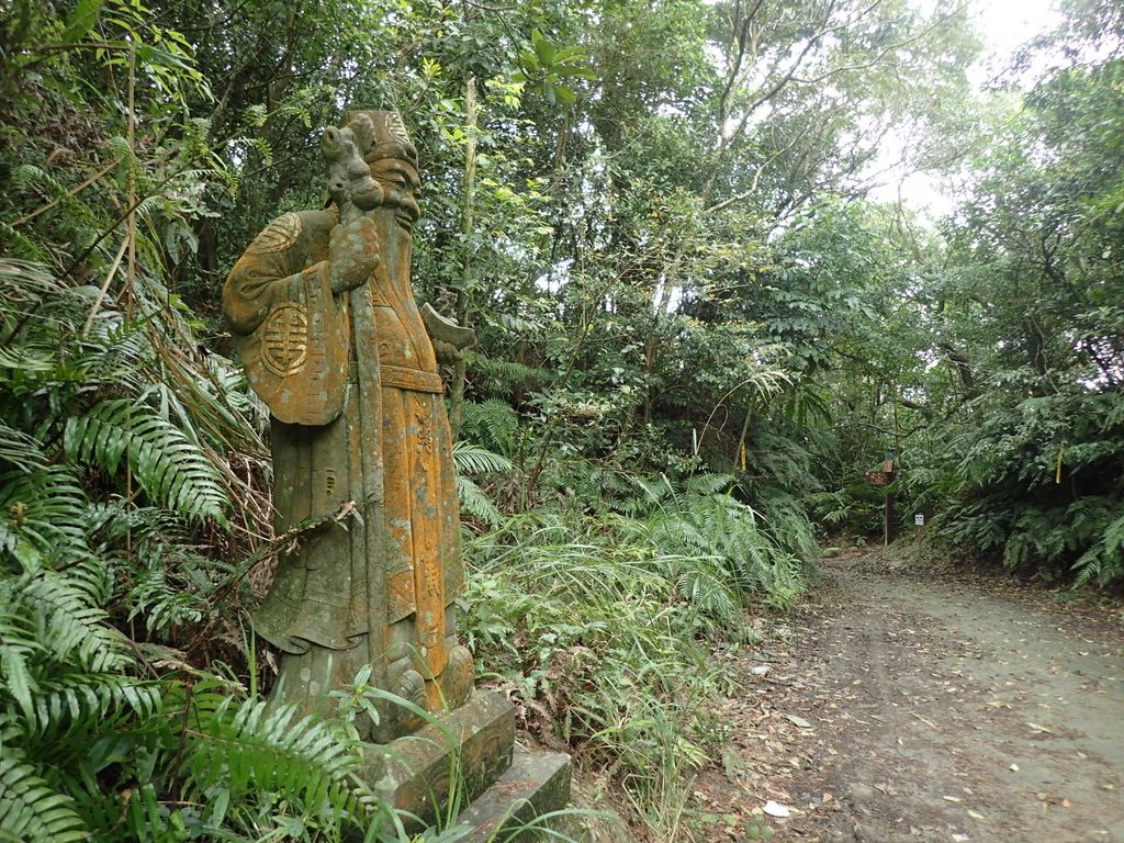 P2288675.JPG - 內湖  大崙頭山