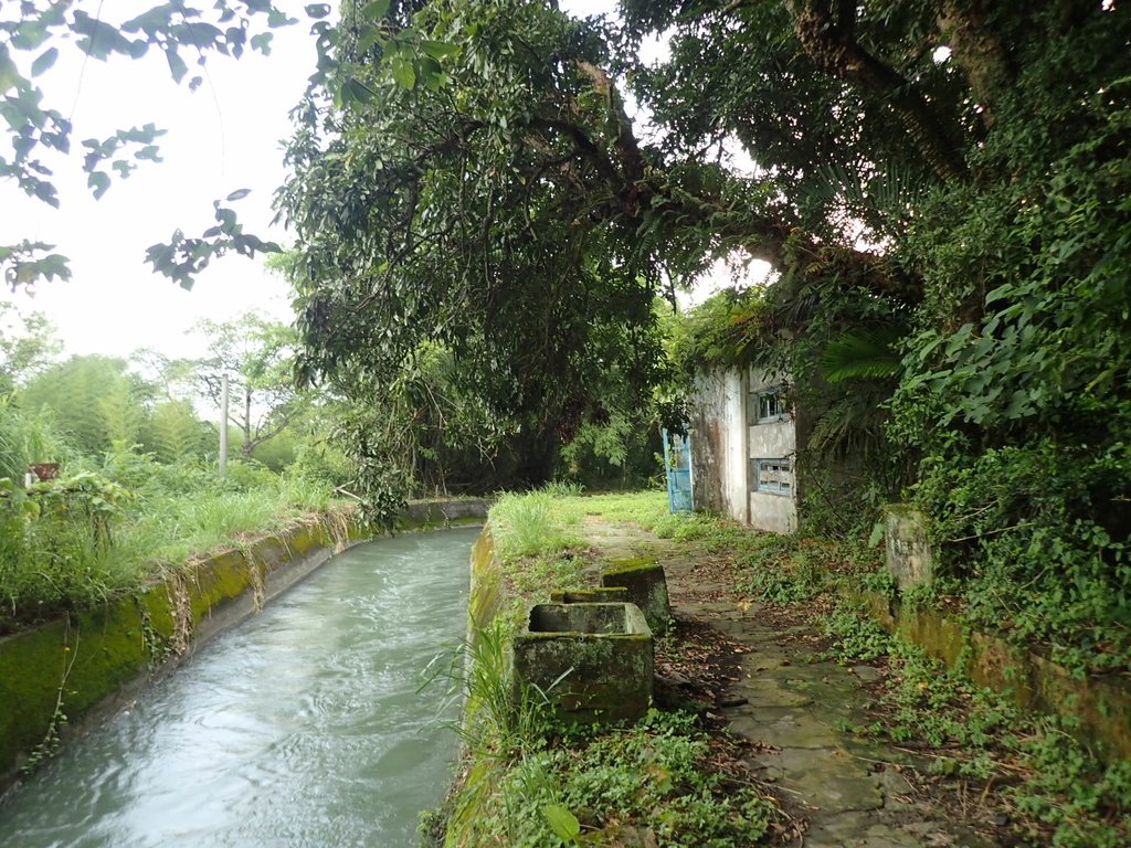 P8287388.JPG - 舊山線鐵道  后里圳磚橋