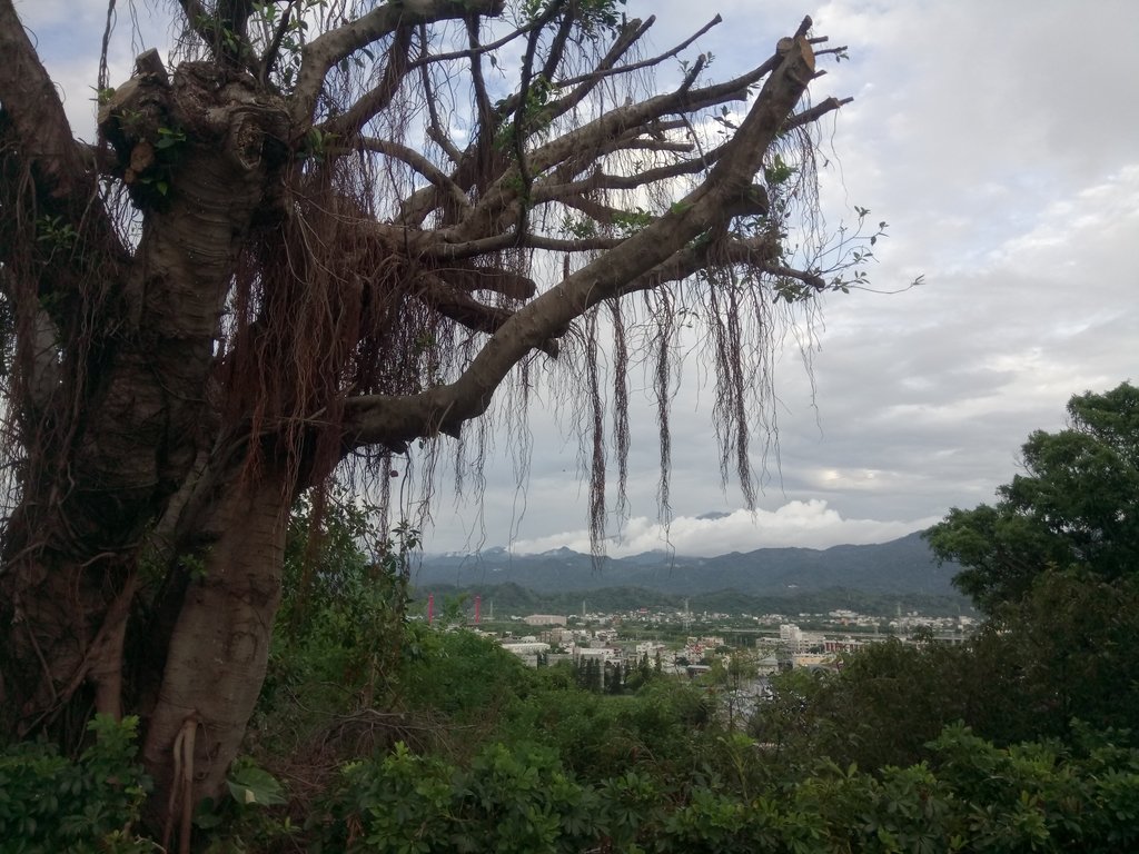 DSC_8994.JPG - 苗栗  稻荷神社遺址