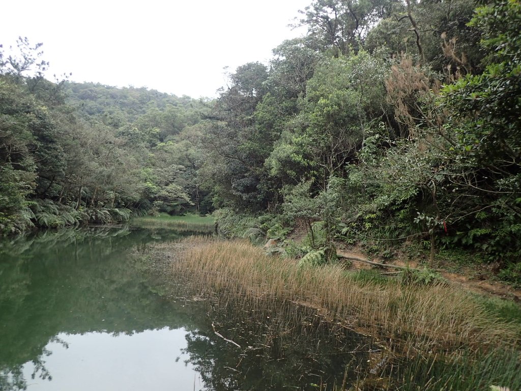 P3160125.JPG - 汐止  柯子林山  如意湖