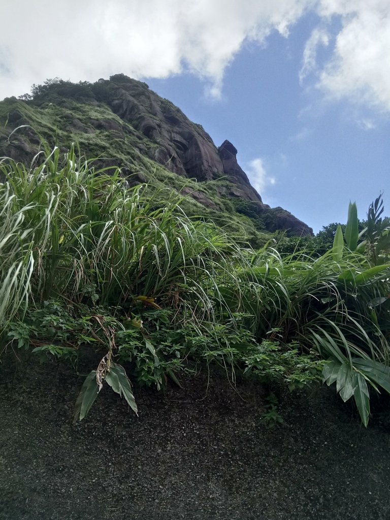 DSC_9453.JPG - 瑞芳  雷霆岩下之  溪谷風情