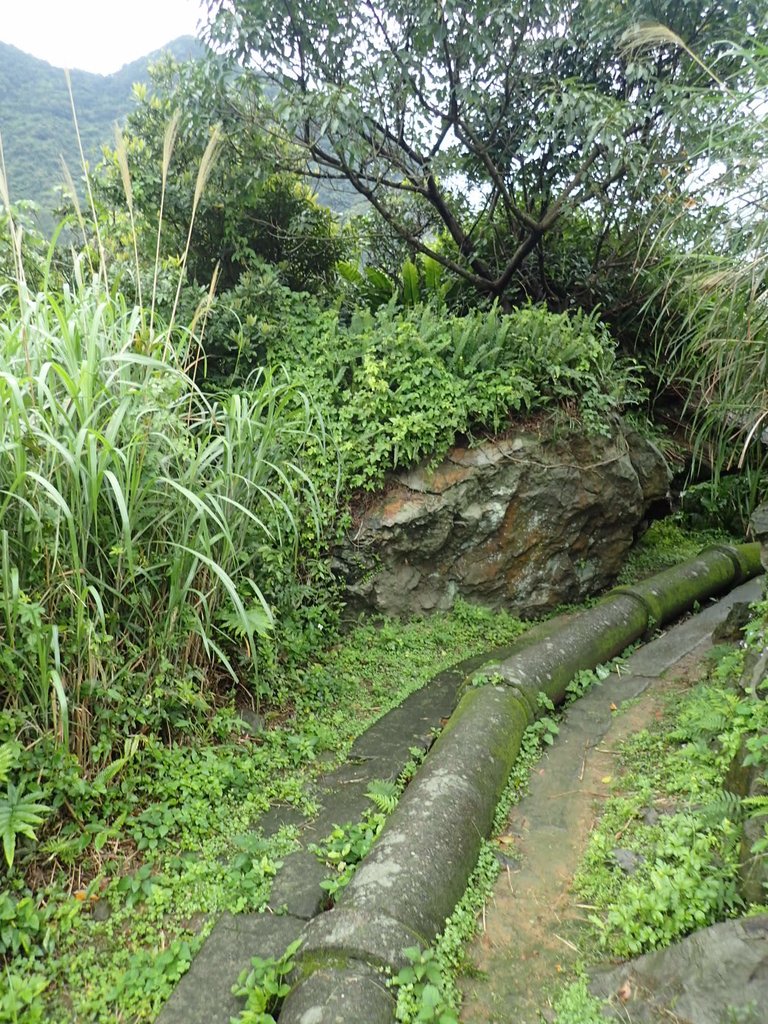 P3240576.JPG - 金瓜石之  內九份溪圳橋