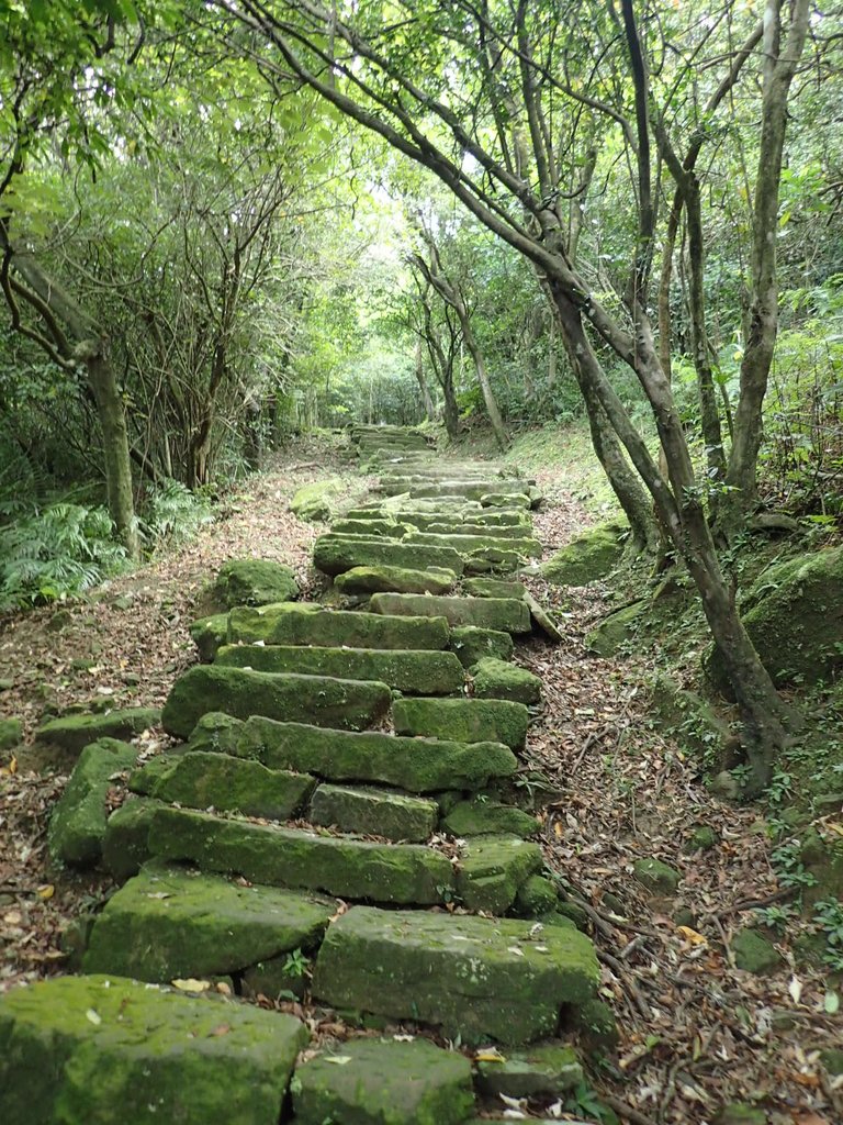 P7062182.JPG - 猴硐  小粗坑古道