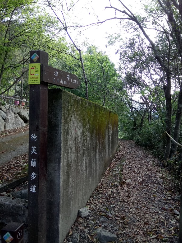 DSC_9834.JPG - 谷關  德芙蘭步道