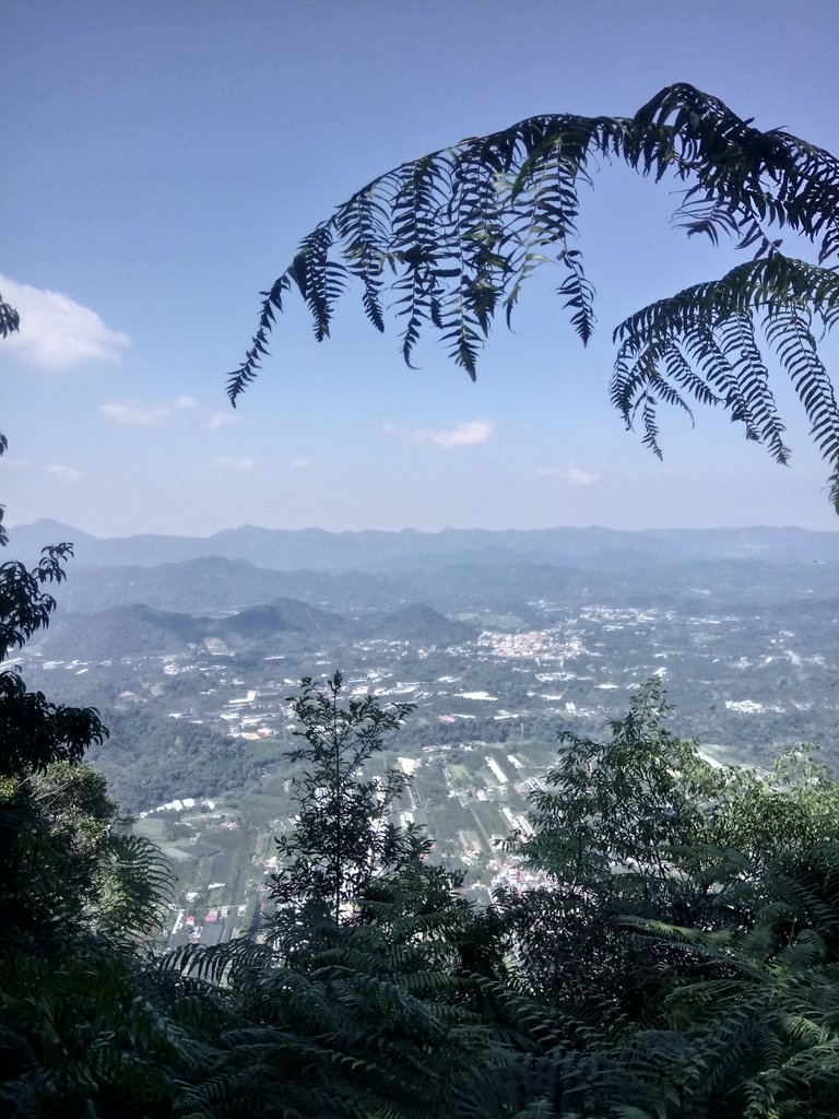 DSC_4040.JPG - 魚池  過坑山登山步道