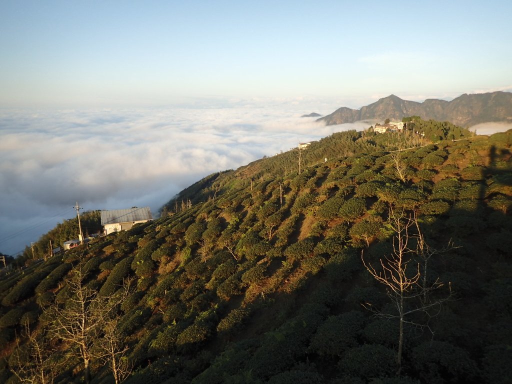 P1076399.JPG - 鹿谷  大崙山  觀霧亭之  暮光