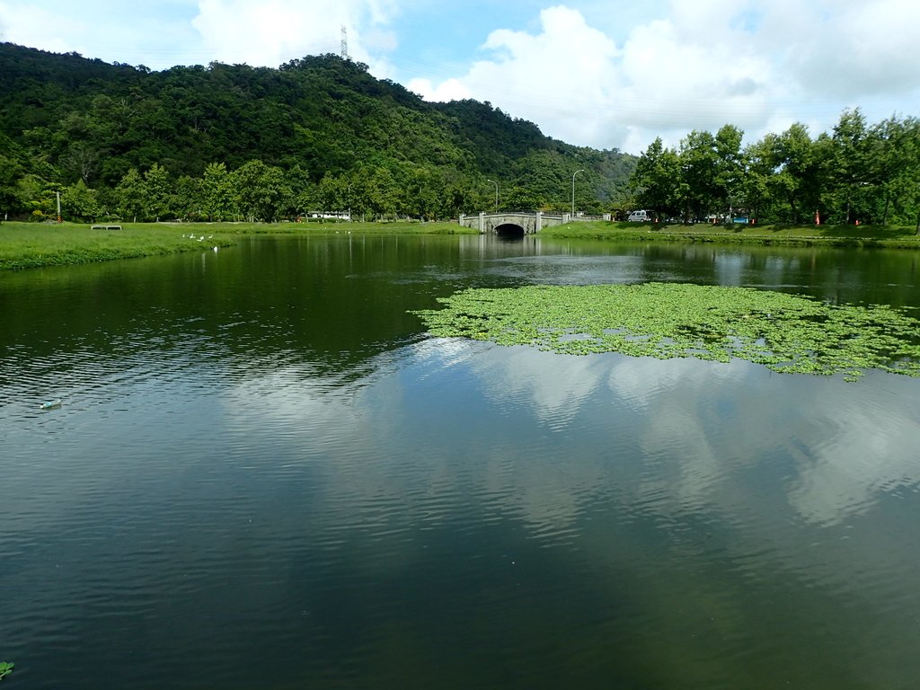 P9127799.JPG - 再訪  員山  蜊埤湖