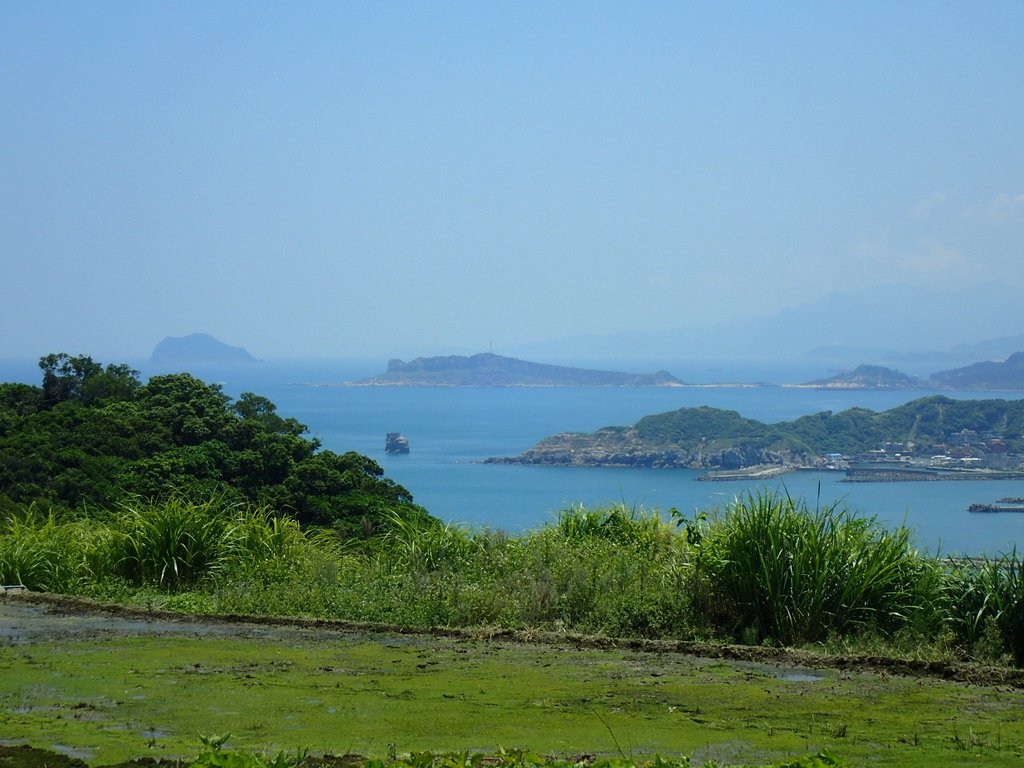 P7296137.JPG - 金山  西勢湖  遠眺中角灣