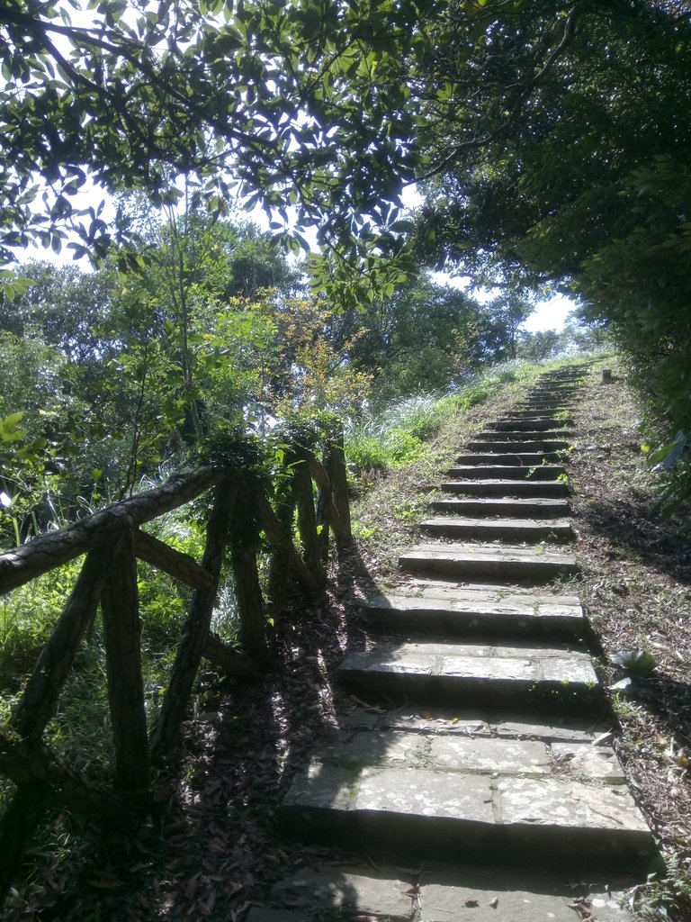 DSC_8786.JPG - 北投  中正山登山步道  02