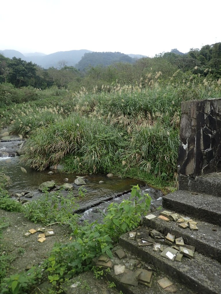 P1263978.JPG - 金山  大路崁古道