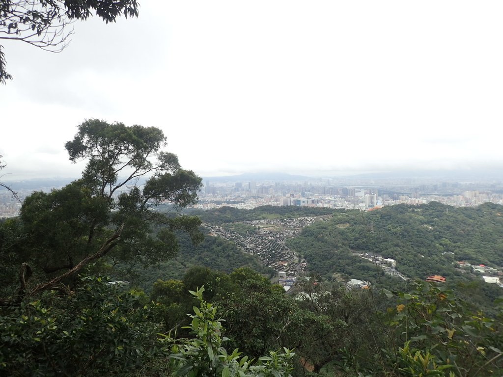 P2178221.JPG - 中和  南勢角山  (烘爐地)