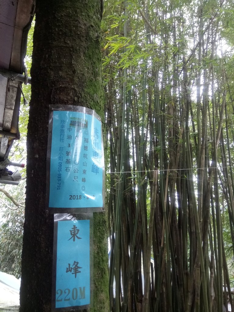 DSC_5158.JPG - 三峽  鳶山  (福德坑山)