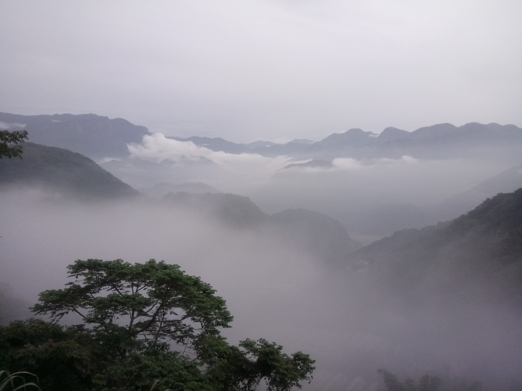 DSC_1384.JPG - 石壁途中之   茶山雲雨