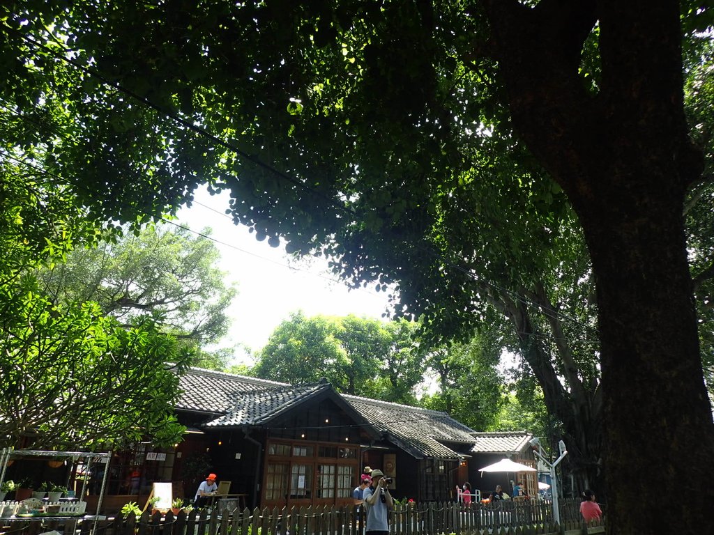 P7133186.JPG - 斗六  雲中街日式宿舍群