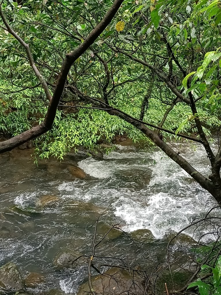 IMG20201226112100.jpg - 雙溪  燦光寮古道行