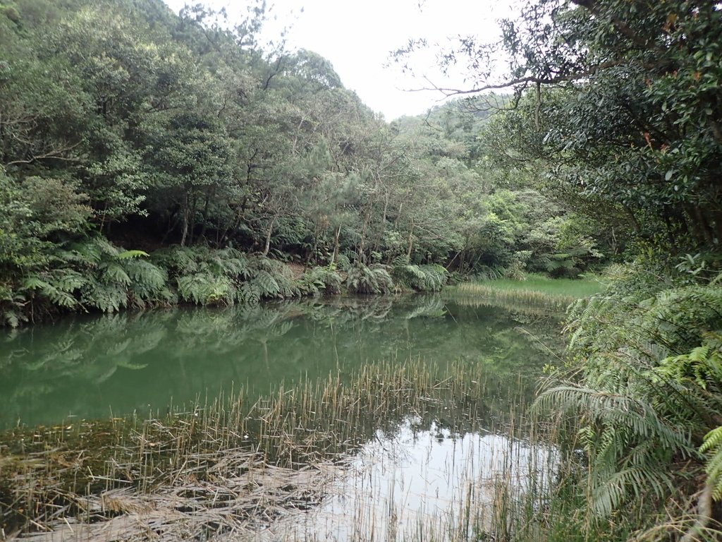 P3160128.JPG - 汐止  柯子林山  如意湖